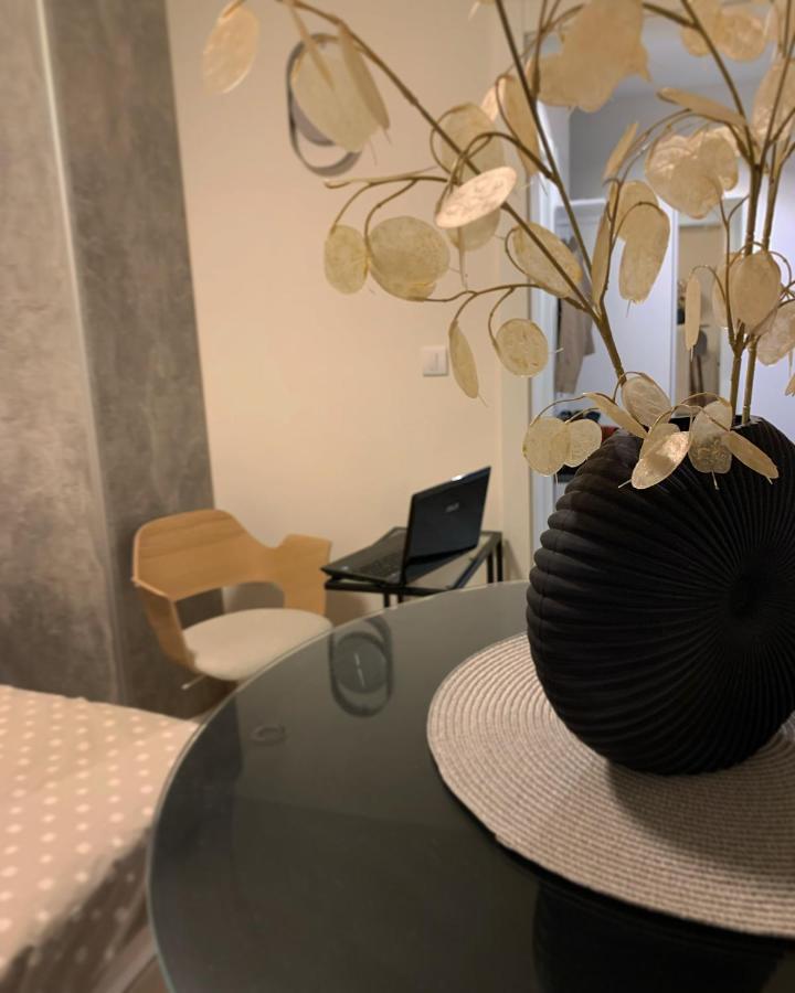Dm Apartman Beograd Zewnętrze zdjęcie